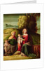 The Virgin and Child with St. Elizabeth and St. John in a landscape by Battista Dossi