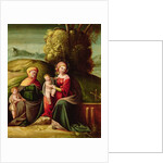 The Virgin and Child with St. Elizabeth and St. John in a landscape by Battista Dossi