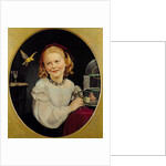 Food for the canary by Philipp Hoyoll