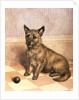 Waiting to Play, a Cairn terrier with a ball by Frank Paton