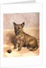 Waiting to Play, a Cairn terrier with a ball by Frank Paton