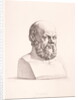 Portrait of Socrates engraved by B.Barloccini, 1849 by C.C Perkins