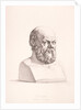 Portrait of Socrates engraved by B.Barloccini, 1849 by C.C Perkins