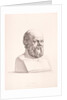 Portrait of Socrates engraved by B.Barloccini, 1849 by C.C Perkins