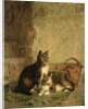Cats, 1883 by Julius Adam
