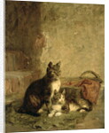 Cats, 1883 by Julius Adam