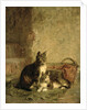 Cats, 1883 by Julius Adam