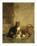 Cats, 1883 by Julius Adam