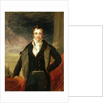 Portrait of Sir Humphry Davy by John Linnell