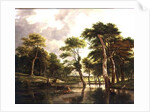 The Stag Hunt by Jan Hackaert