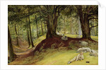 Parkhurst Woods, Abinger, Surrey by Richard Redgrave