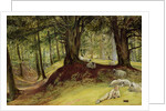 Parkhurst Woods, Abinger, Surrey by Richard Redgrave