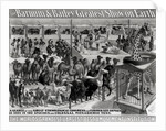 Poster advertising, 'The Barnum and Bailey Greatest Show on Earth, the World's Grandest, Largest, Best Amusement Institution', c.1895 by American School