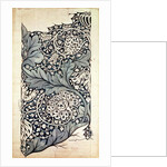 Design for Avon Chintz, c.1886 by William Morris