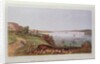 New York Bay from Staten Island by English School