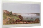 New York Bay from Staten Island by English School