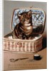 Pussy in the Workbasket by English School