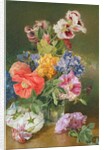 Roses, Poppy and Pelargonia by James Holland