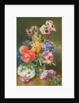 Roses, Poppy and Pelargonia by James Holland
