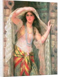 Safie, 1900 by William Clark Wontner