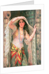 Safie, 1900 by William Clark Wontner