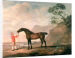 Scapeflood by George Stubbs