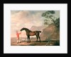 Scapeflood by George Stubbs