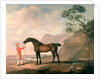 Scapeflood by George Stubbs