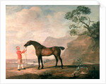 Scapeflood by George Stubbs