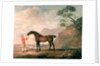 Scapeflood by George Stubbs