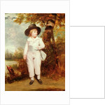 John Charles Spencer, Viscount Althorp, 1786 by Joshua Reynolds