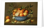 Still Life with Oranges and Lemons in a Wan-Li Porcelain Dish, 17th century by Jacob van Hulsdonck