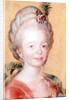 Portrait of the daughter of Carl Linnaeus by Swedish School