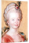 Portrait of the daughter of Carl Linnaeus by Swedish School