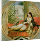 In the Harem by Anonymous Anonymous