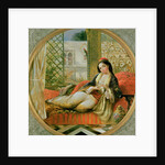 In the Harem by Anonymous Anonymous