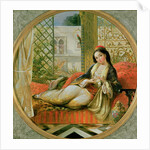 In the Harem by Anonymous Anonymous