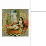 In the Harem by Anonymous Anonymous