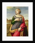 St. Catherine of Alexandria, 1507-8 by Raphael