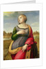 St. Catherine of Alexandria, 1507-8 by Raphael