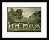 Foxhounds in a landscape, 1762 by George Stubbs