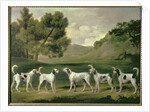 Foxhounds in a landscape, 1762 by George Stubbs