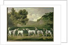 Foxhounds in a landscape, 1762 by George Stubbs