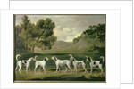 Foxhounds in a landscape, 1762 by George Stubbs