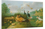 Decorative fowl and ducklings by Jan van the Elder Kessel