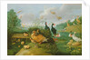 Decorative fowl and ducklings by Jan van the Elder Kessel