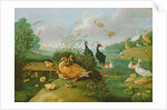 Decorative fowl and ducklings by Jan van the Elder Kessel