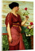 A Red, Red Rose, 1920 by John William Godward