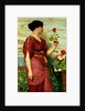 A Red, Red Rose, 1920 by John William Godward