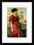 A Red, Red Rose, 1920 by John William Godward